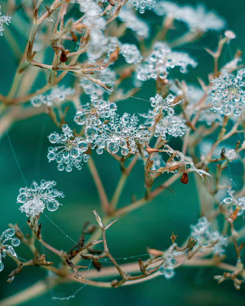Фотография автора Анна Олещук