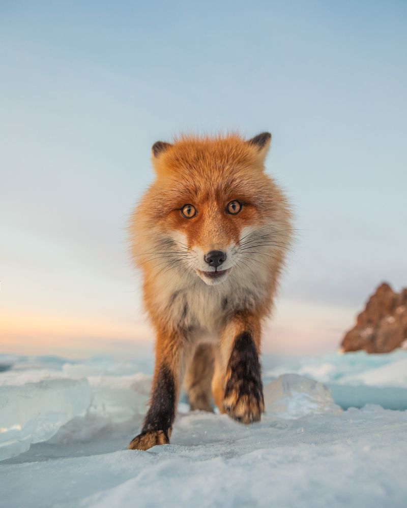 Photograph by Дмитрий Архипов