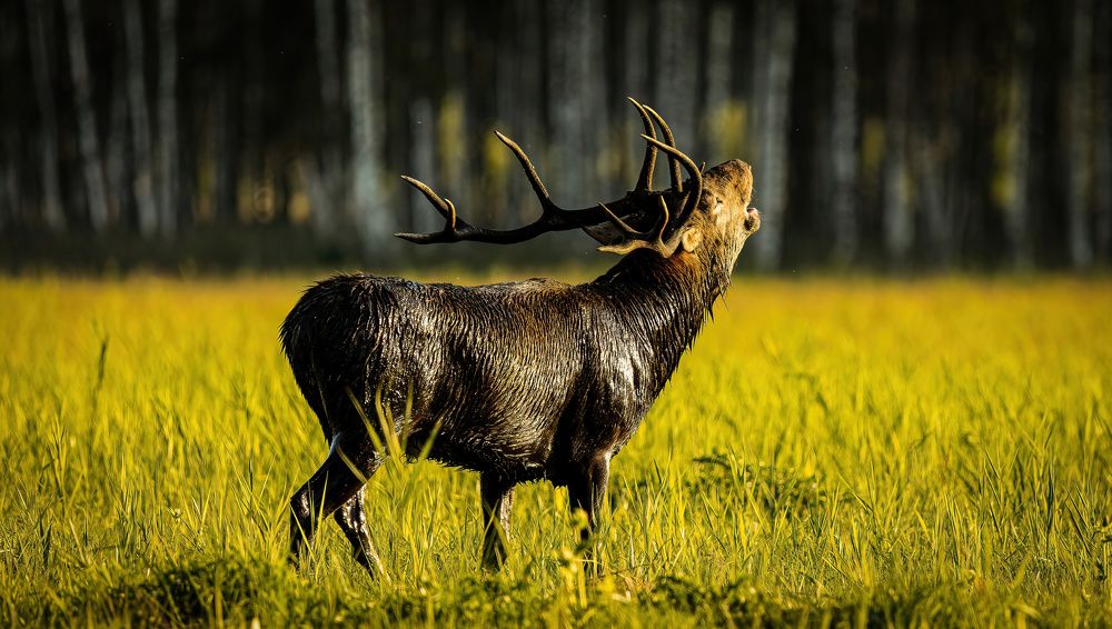 Photograph by Marek Olesiewicz