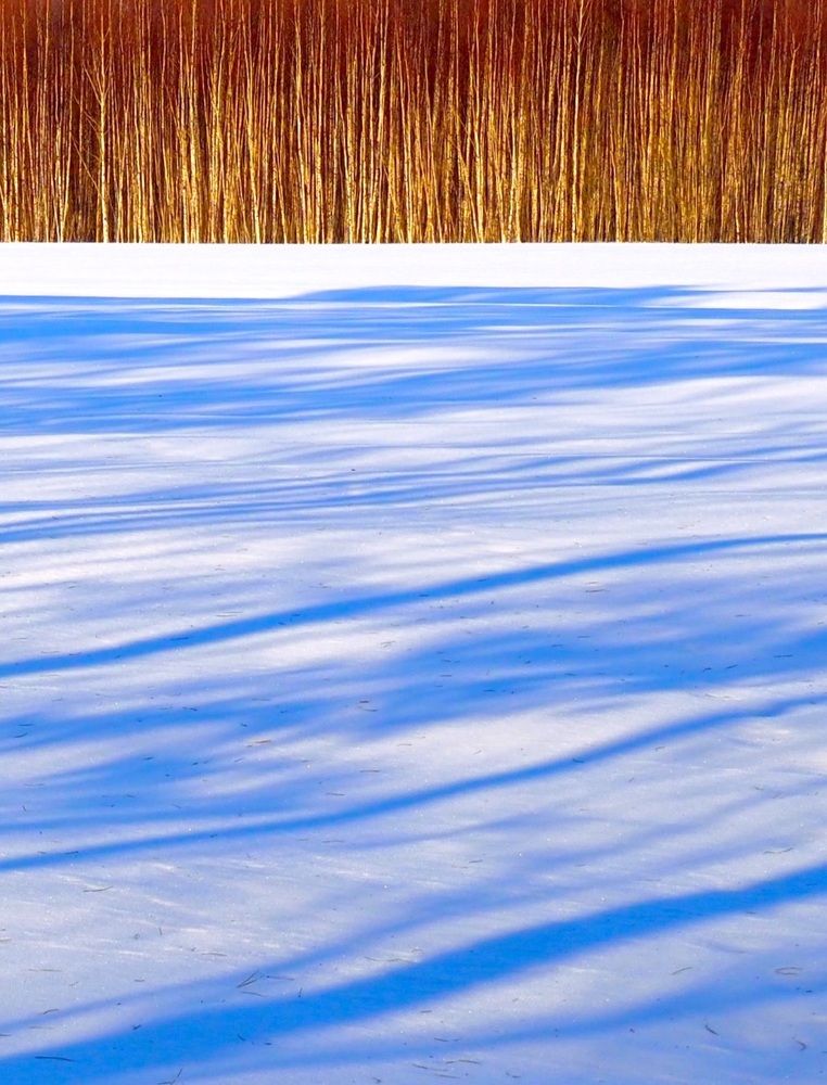 Photograph by Екатерина Шмелева