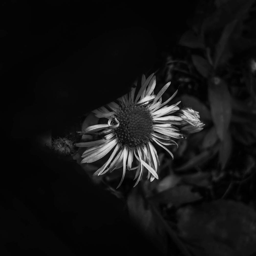 Photograph by Valentina