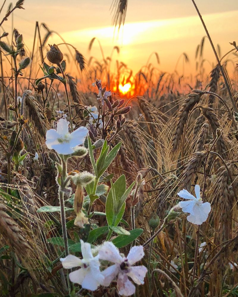 Photograph by Лариса