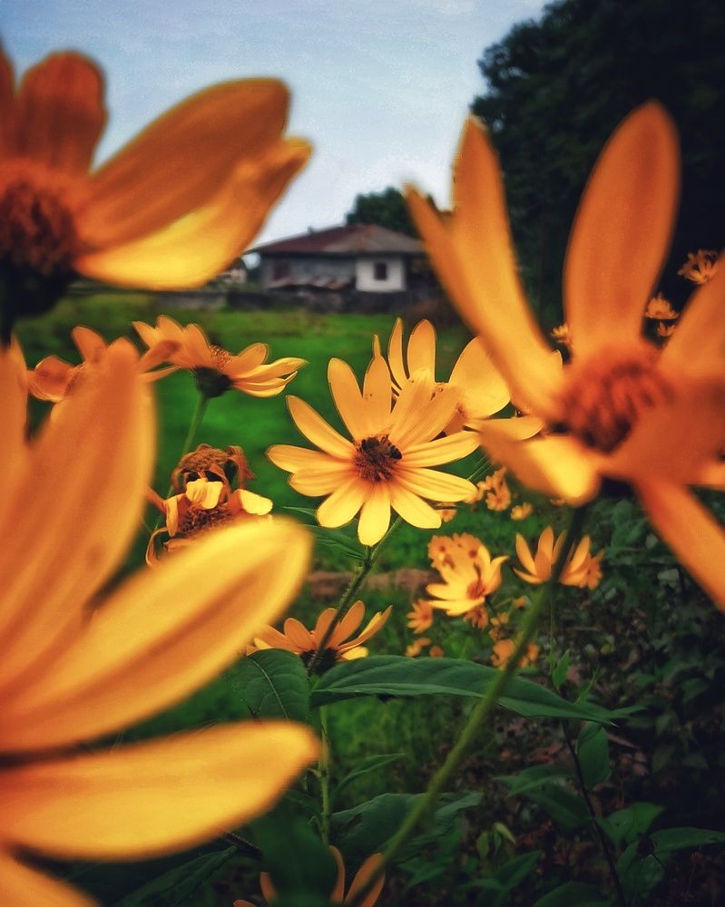 Photograph by Pourya Farajpour