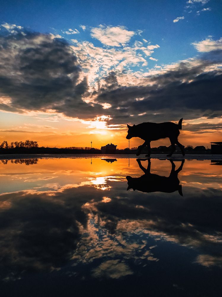 Photograph by Милородова Наталья