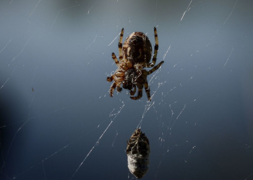 Photograph by Юлия Лушникова