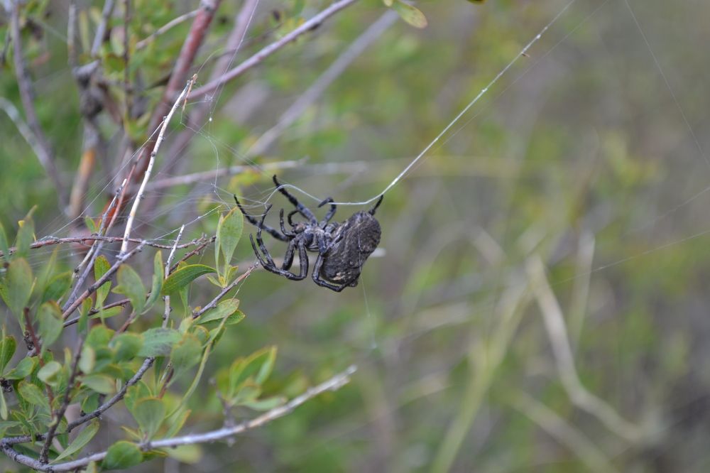 Фотография автора Андрей Хлопонин