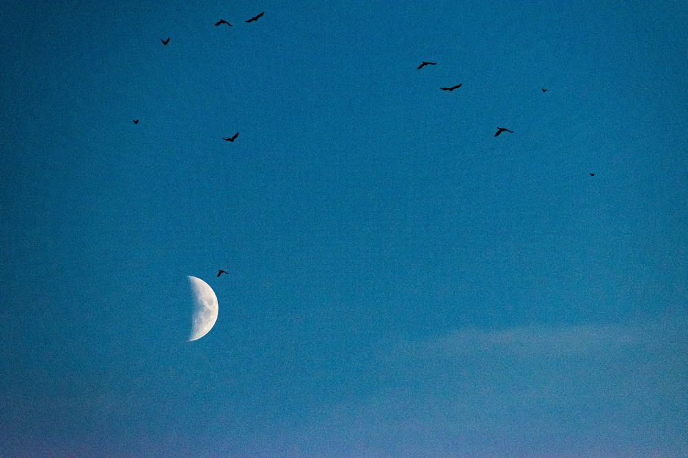 Photograph by Наталья