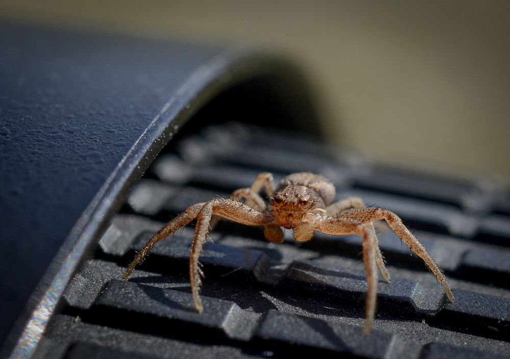 Photograph by Юлия Лушникова