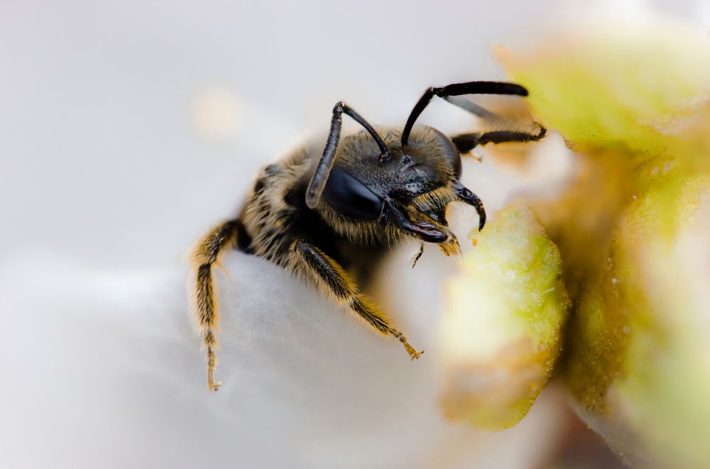 Photograph by Сервер Халилов