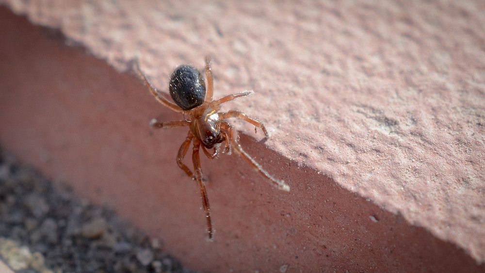 Photograph by Юлия Лушникова