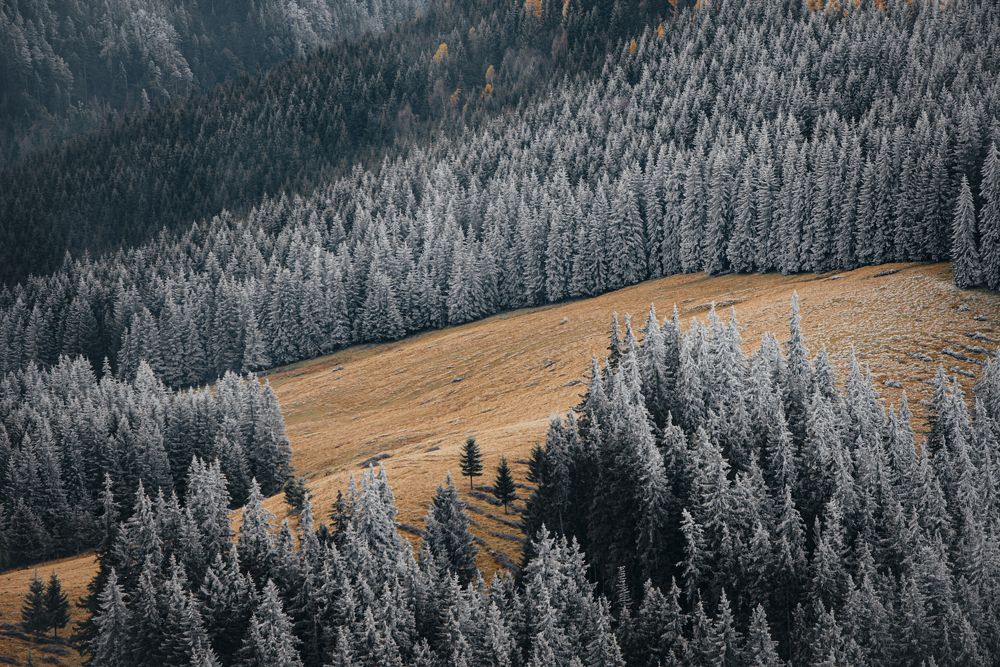 Photograph by Emanuel Andrei Buduleanu