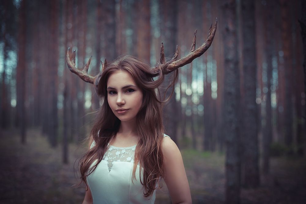 Фотография автора Maxwellion