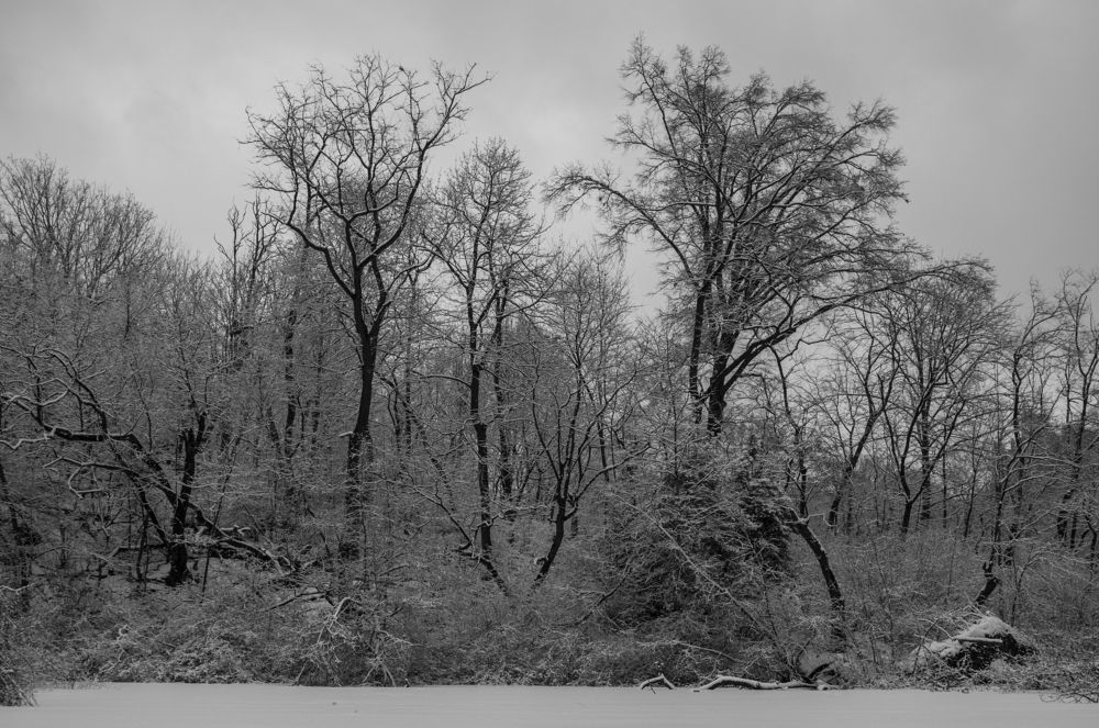 Photograph by Pablo López-Rojas