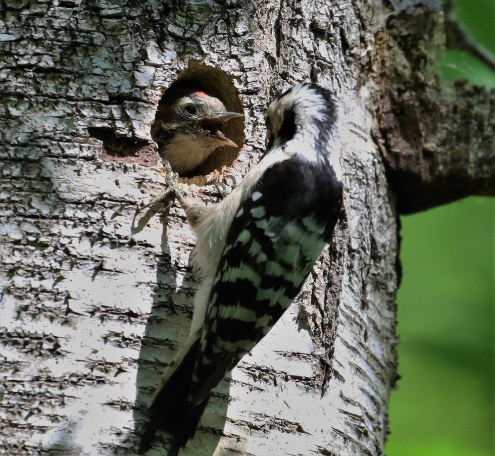 Photograph by Ирина Волкова