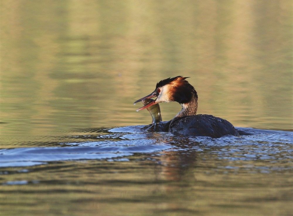Photograph by Ирина Волкова