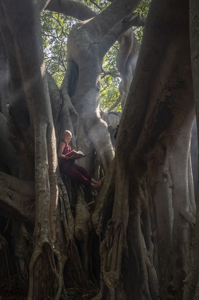 Young monks of Myanmar