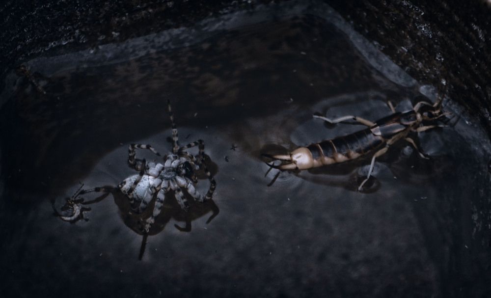 Photograph by Юлия Лушникова