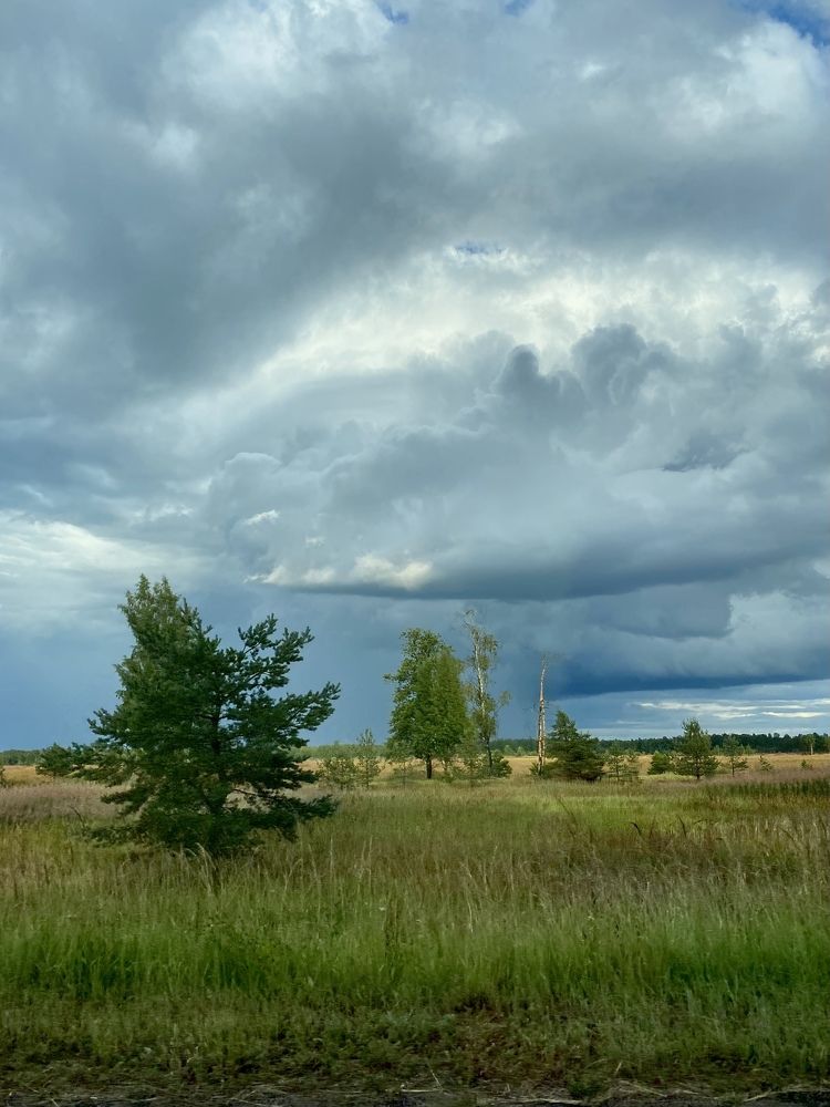 Photograph by Марина Танаева