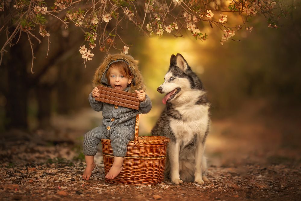 Among the almond trees