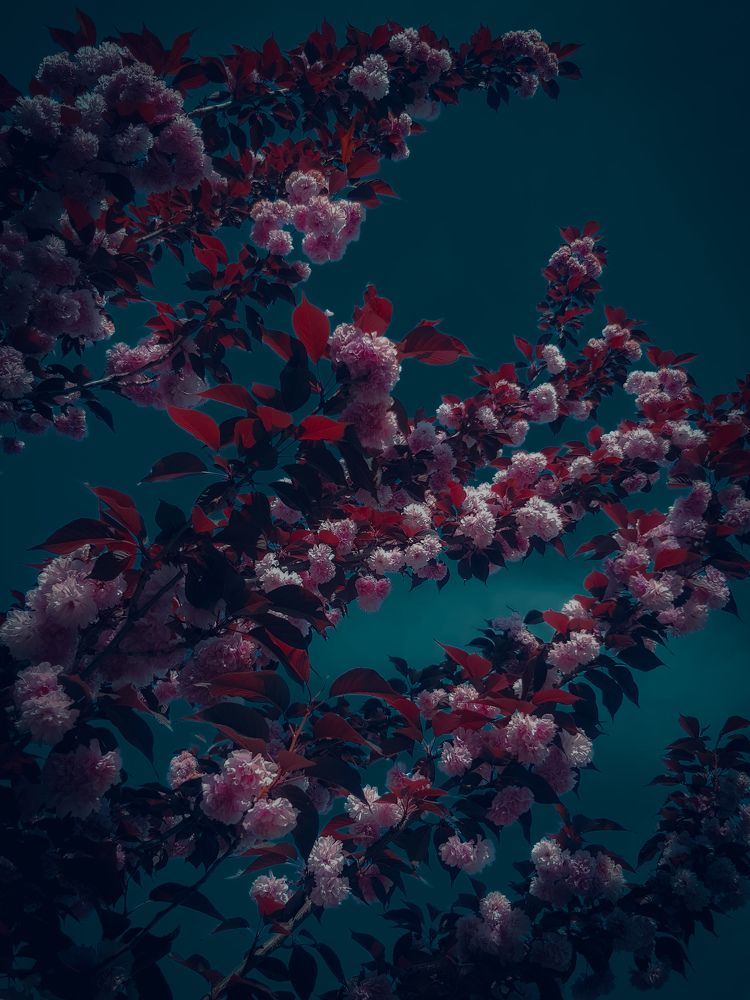 Photograph by Зара