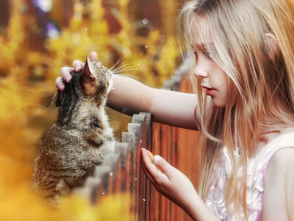 Photograph by Анастасия Голубева