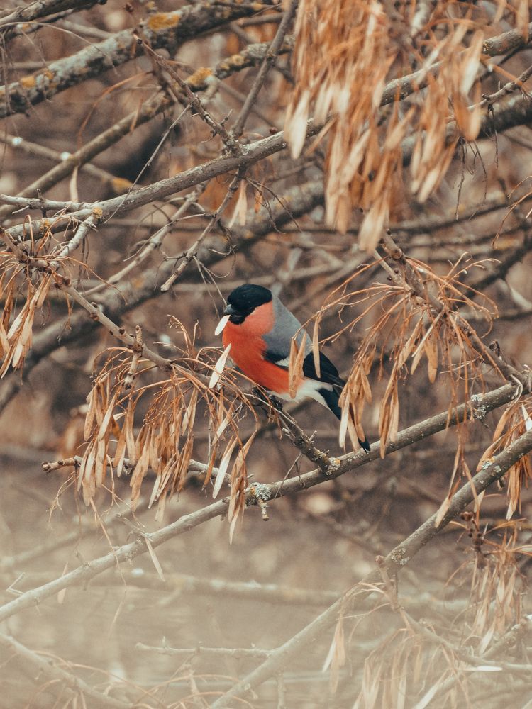Photograph by Дарья Довгаль