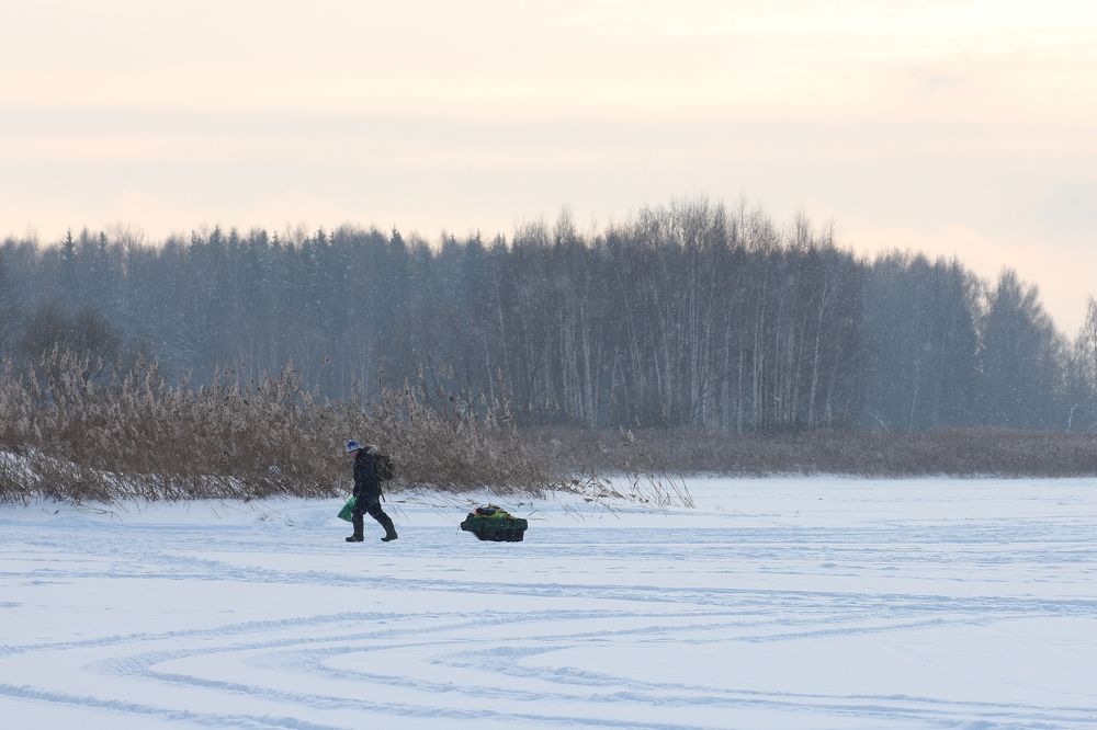 Photograph by Валерия Горелова