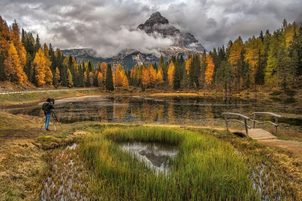 Фотография автора Журавлев Александр