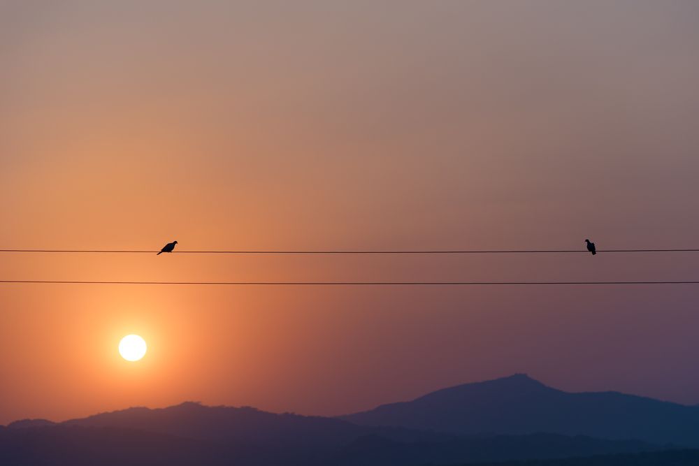 Photograph by Chetan Verma