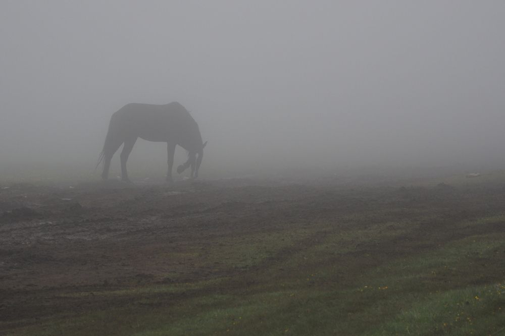 Photograph by Ирина