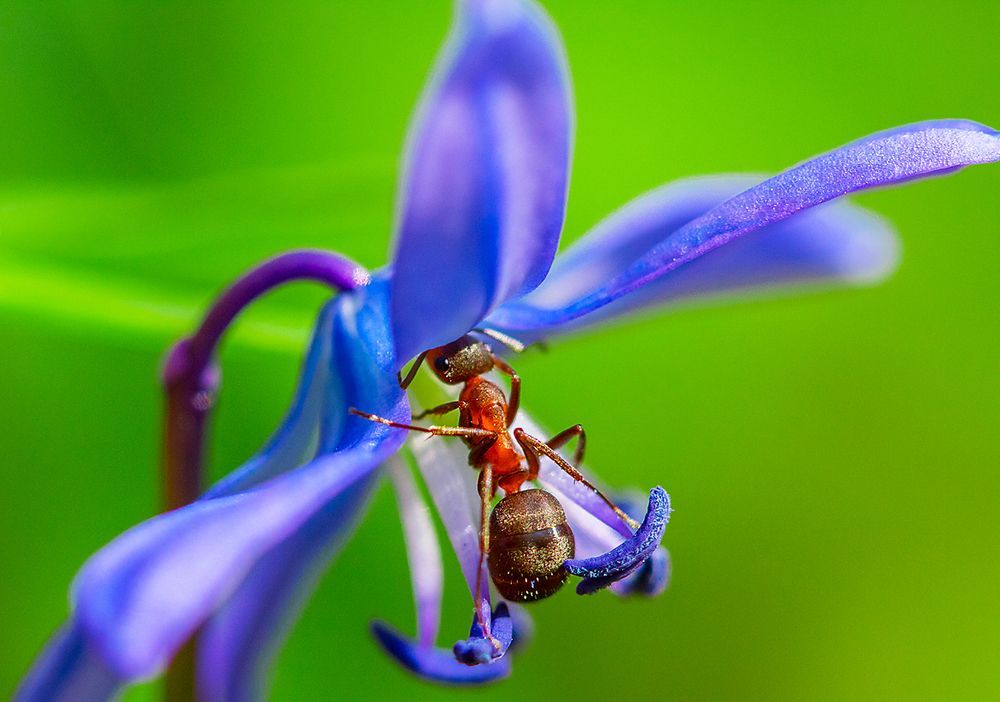 За сладким.