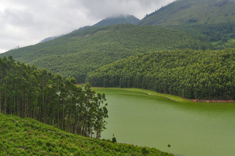 Photograph by Nijas Mohamed