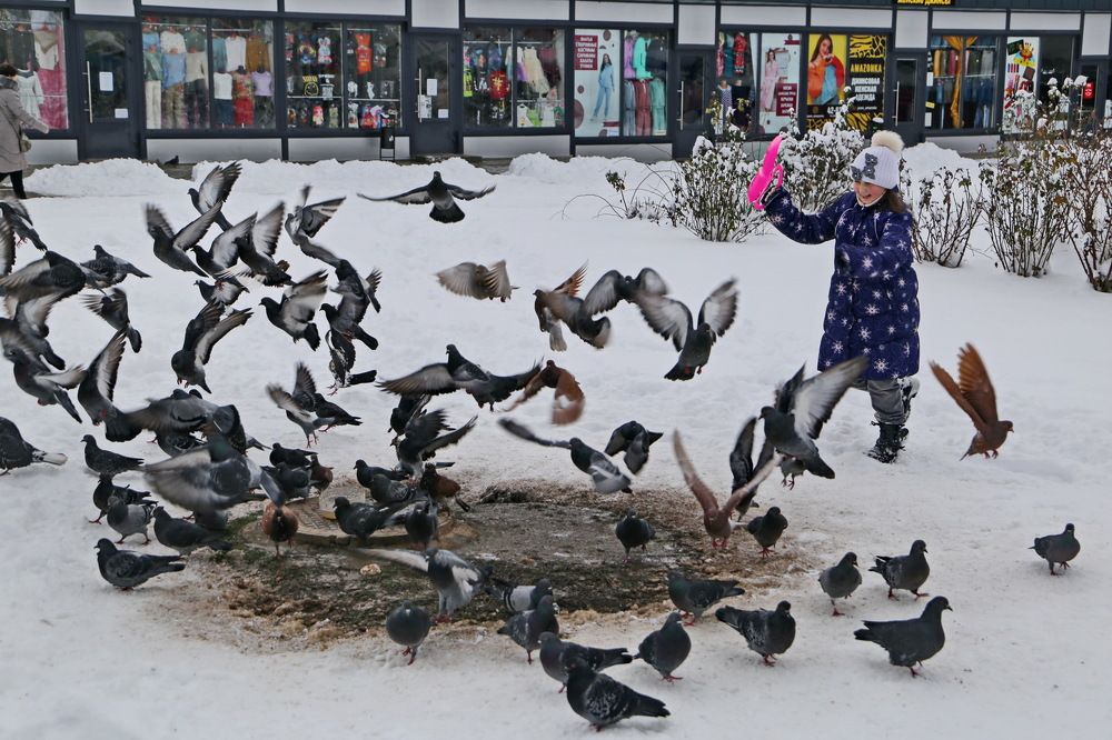 Фотография автора Александр Челмодеев