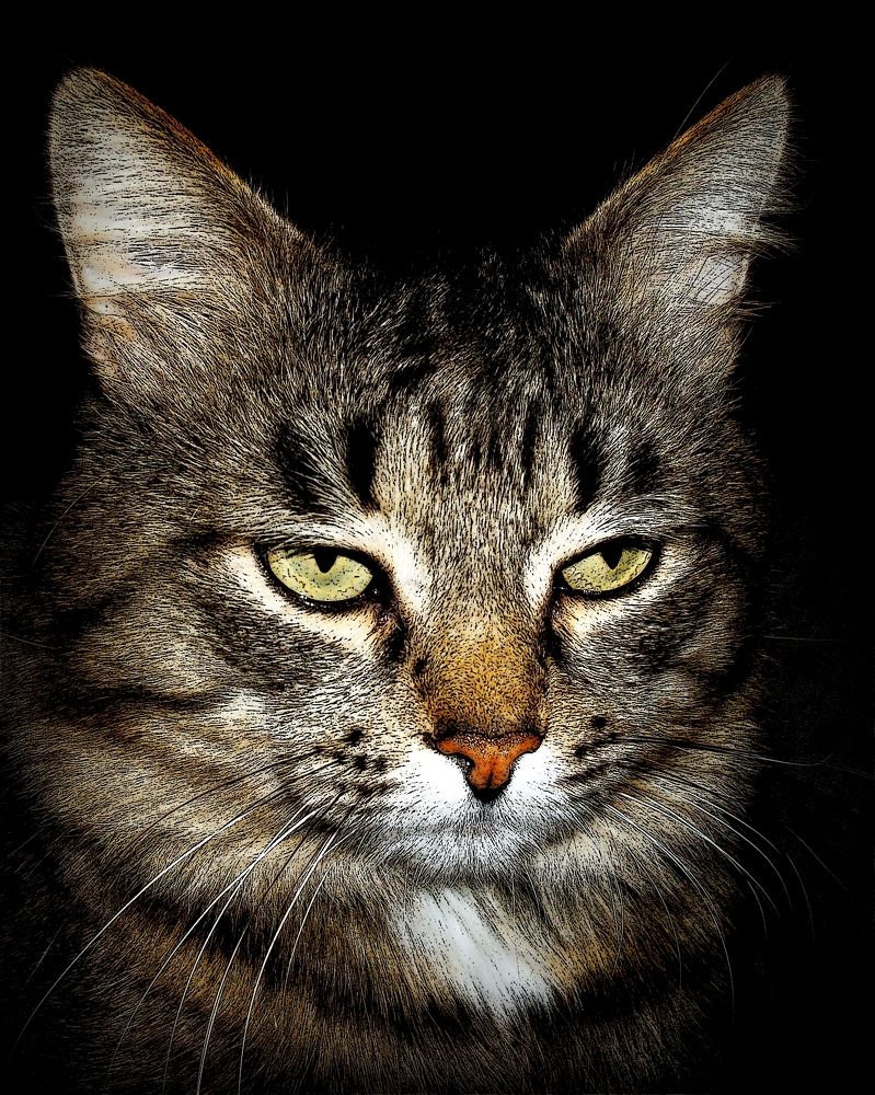 Photograph by Глеб Кузьминых