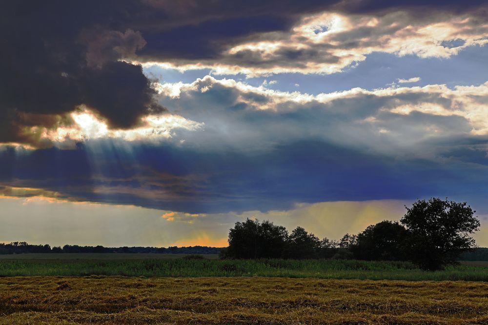 Начало августа.