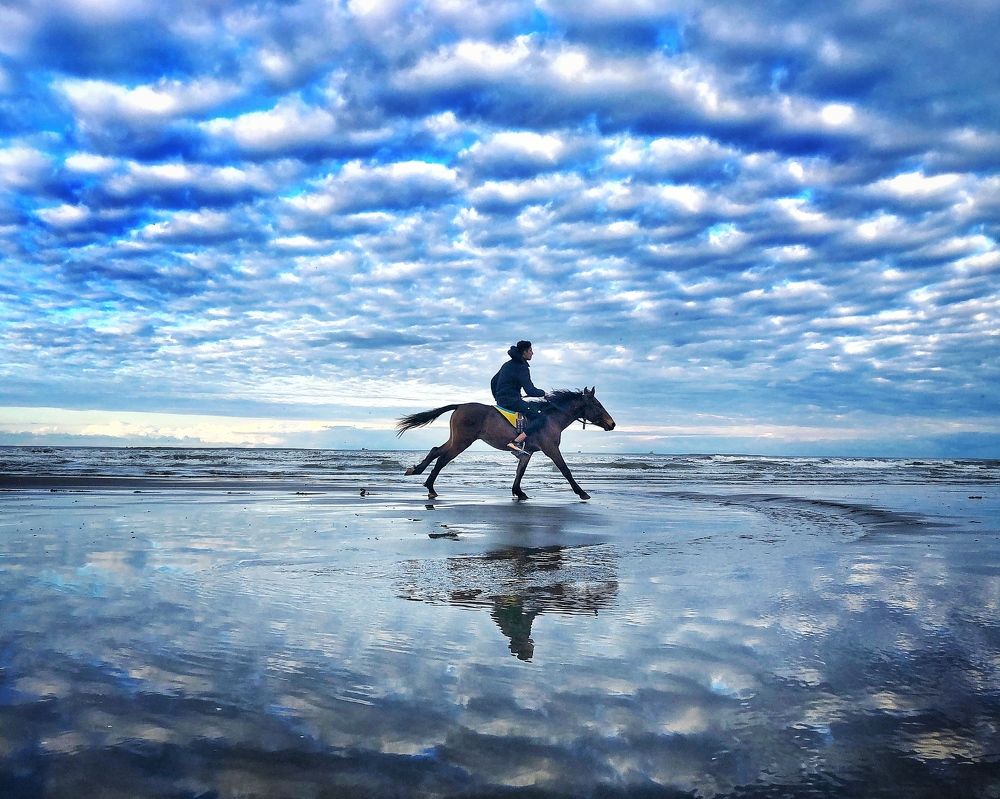 Фотография автора Qmars Khoshsefat