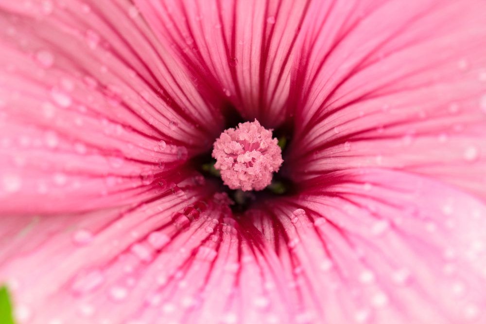 Photograph by Анастасия Калинцева