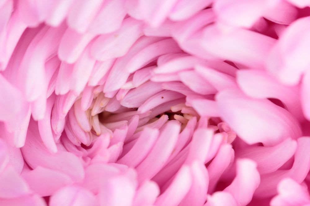 Photograph by Анастасия Калинцева