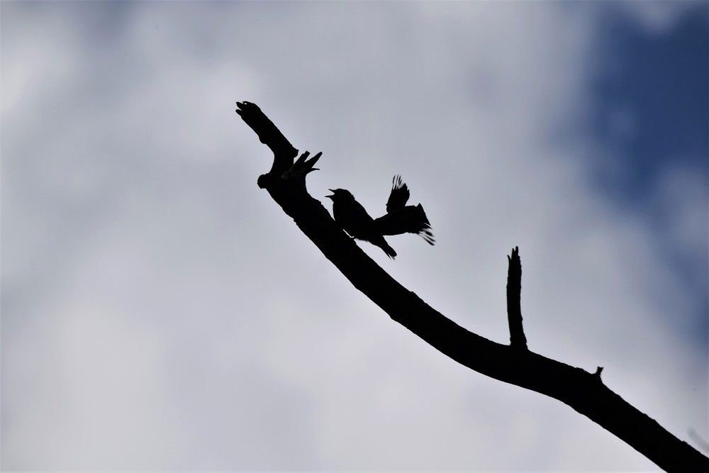 Photograph by Лариса Стрекулева