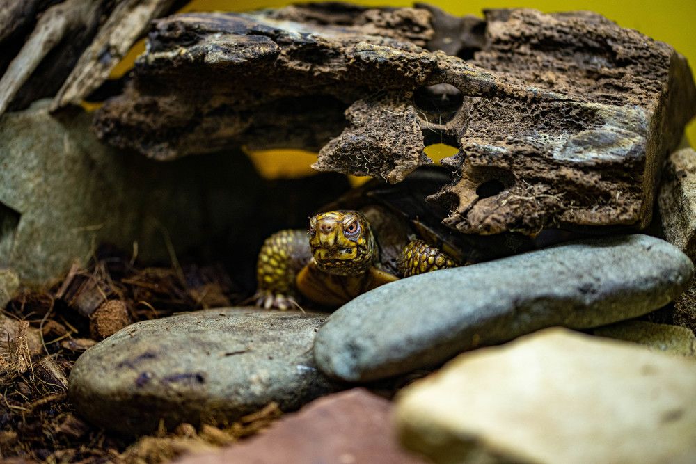 Photograph by Денис Гуляев