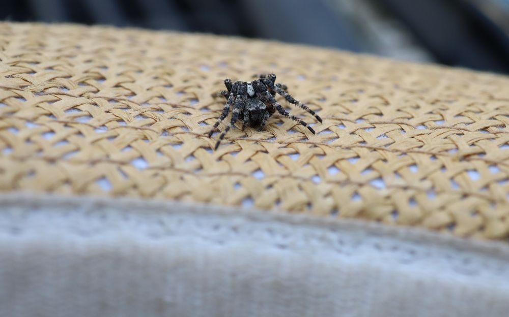 Photograph by Оксана Никулина