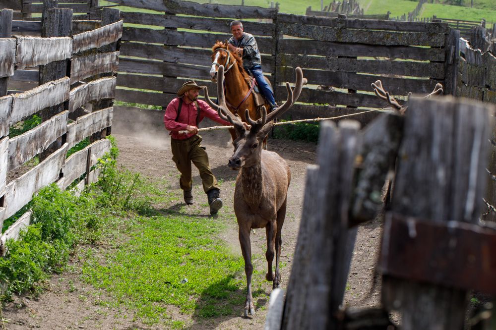 Photograph by Людмила Аксенова