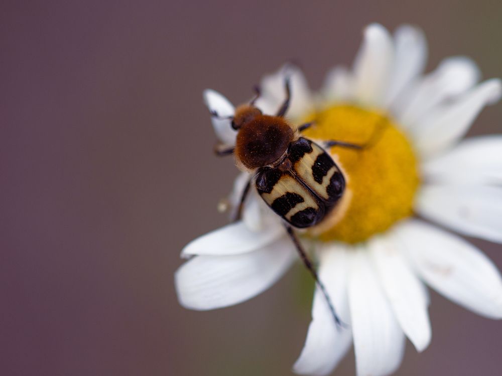 Photograph by Евгения Журавлева