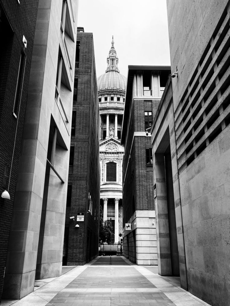 Photograph by Vera Notovich