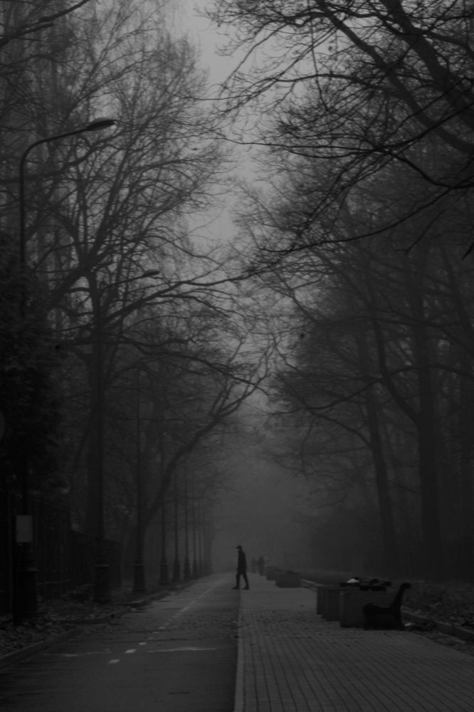 Photograph by Валерия Горелова