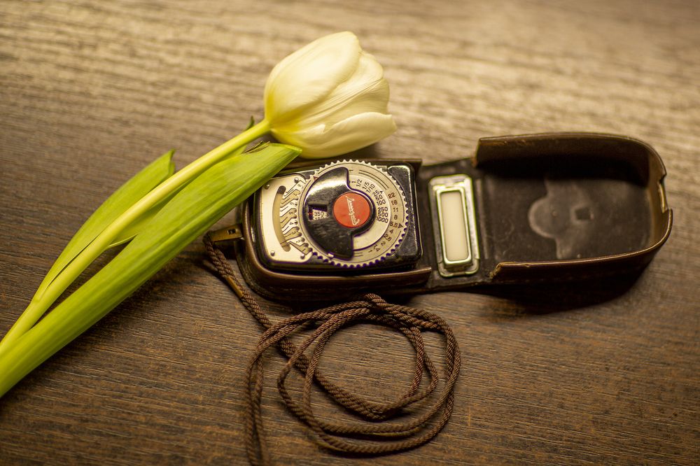 Я подарю тебе...