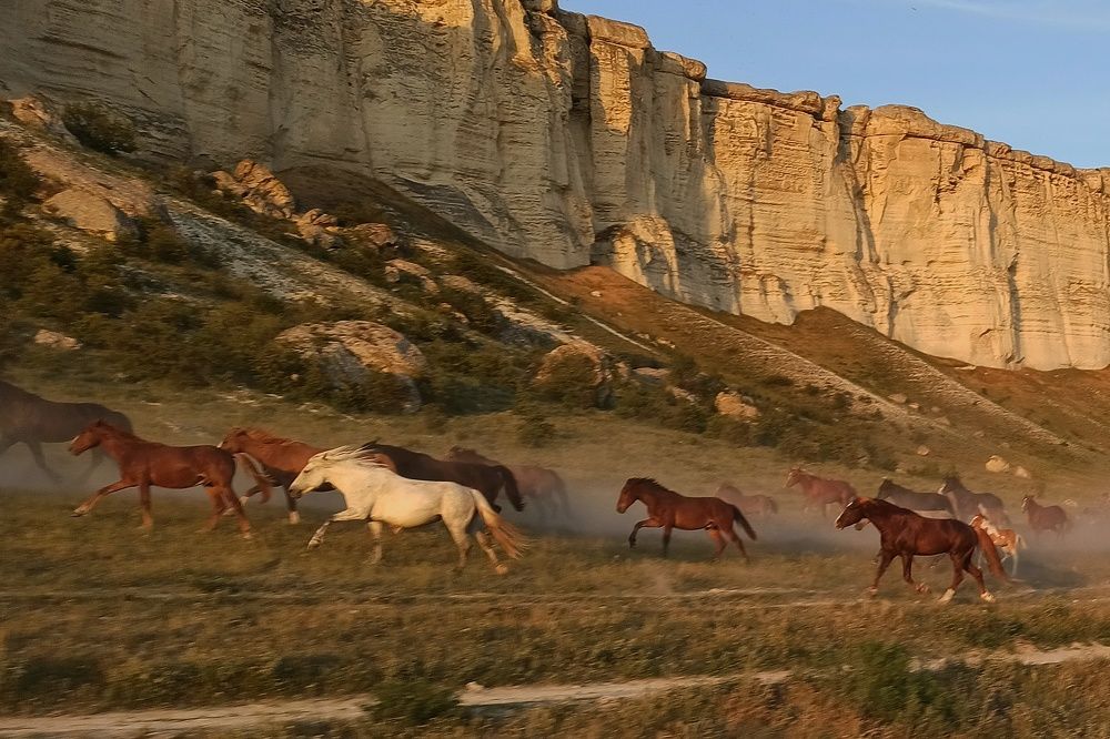 Photograph by Сергей Жигульский