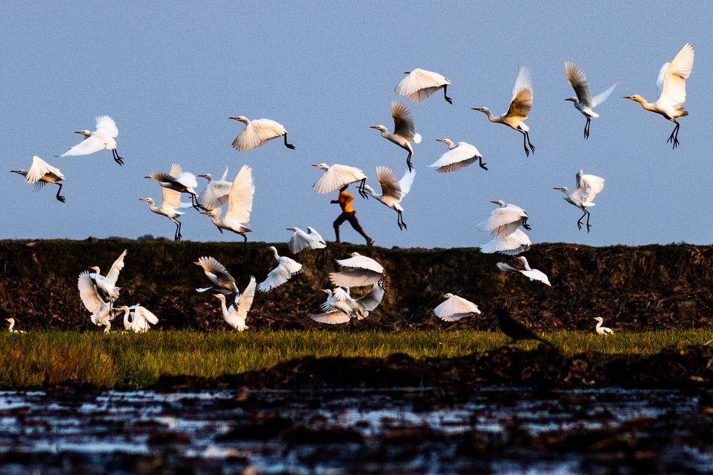 Photograph by Rahat Bin Mustafiz Rahat