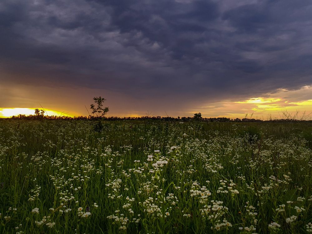 Photograph by Зара Нехай