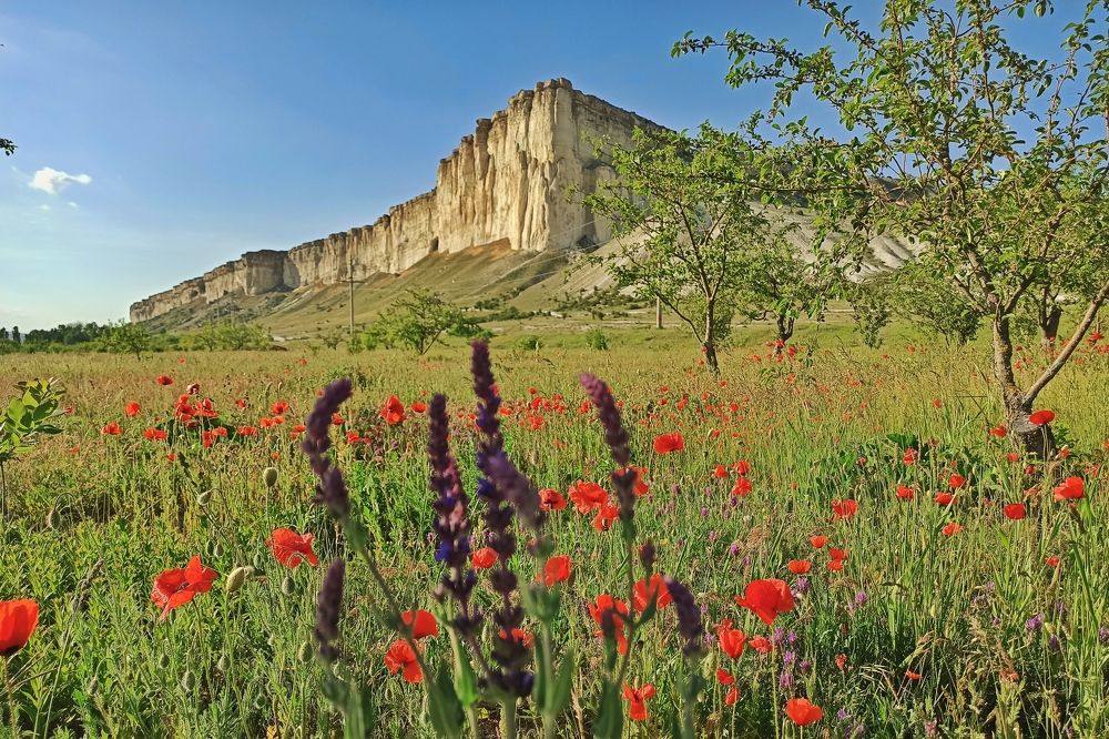 Photograph by Сергей Жигульский